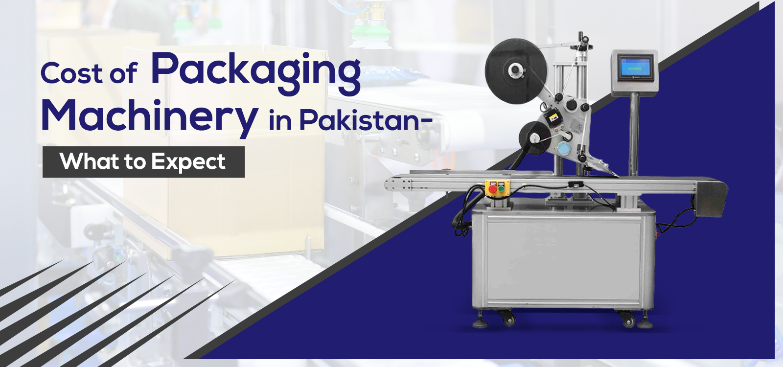 Cost of Packaging Machinery in Pakistan: What to Expect